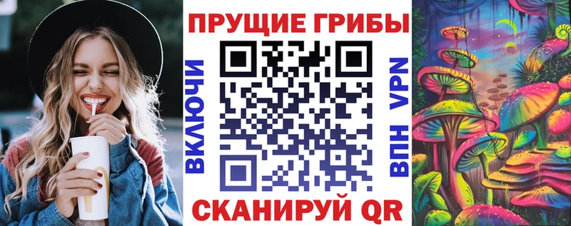 где можно купить наркотик  Покровск  Галлюциногенные грибы MAGIC MUSHROOMS 